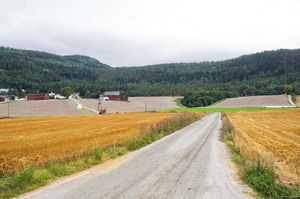 Bø, Jønnebergvegen-1.jpg