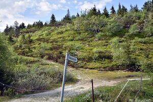 Bø, Kikkutrustin-1.jpg