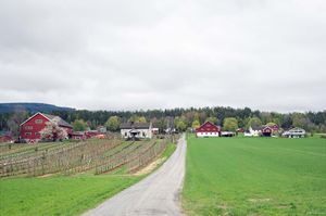 Bø, Nigardsguto-1.jpg