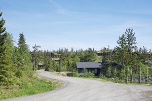 Bø, Nutestulvegen-1.jpg