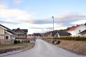 Bø, Rådyrvegen-1.jpg
