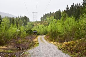 Bø, Rønningslandvegen-1.jpg