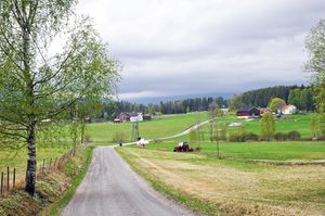 Bø, Roevegen-1.jpg
