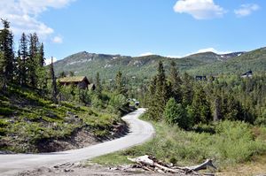 Bø, Skråmådalsvegen-1.jpg