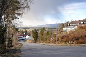 Bø, Venåsvegen-1.jpg