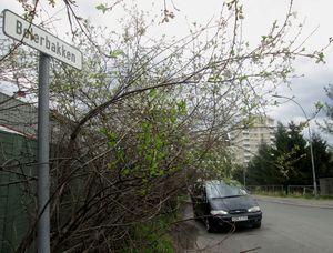 Bølerbakken Oslo 2013.jpg