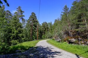 Bølerkollen-220616.jpg