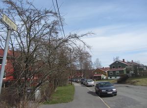 Bølerlia Oslo 2014.jpg