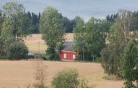 Børhaug sett fra Øver-Kallrustad. Bilde tatt med kraftig zoom. Foto: Trond Nygård (2019)