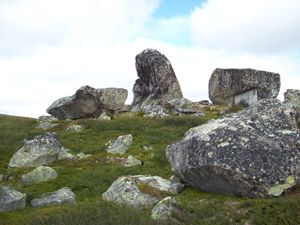 BU200907 041 Sieidi.jpg