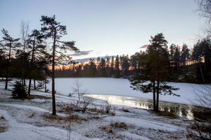 Badedammen Grorud 141213.jpg