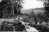 Foto utlånt av Ragnhild Kårtvedt