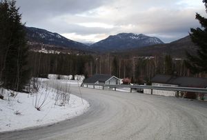 Bakkevegen Veggli 2016.JPG