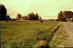 Ballestad skole sett fra sør (1961-1965).