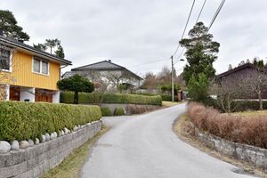 Bamble, Snarveien-1.jpg