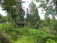 Bandakslihekti (Foto: Olav Momrak-Haugan, 2011)