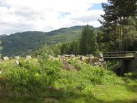 Bandakslihekti (Foto: Olav Momrak-Haugan, 2011)