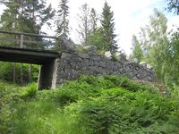 Bandakslihekti (Foto: Olav Momrak-Haugan, 2011)