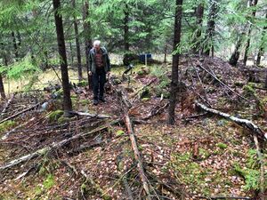 Barlinddokka november 2022 (IMG 0814).jpg