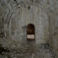 Kruttkjeller. Foto: Tommy Gildseth (2012).