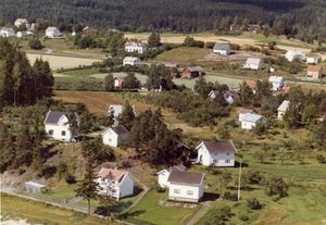 Bebyggelse på Skjelsbekkjordet og Lunde utenfor Vestfossen - WF067.jpg