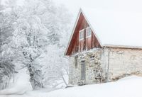 Steinfjøset, som seinere ble brukt som potetbu. Foto: Ole-Anders Beck (2020).