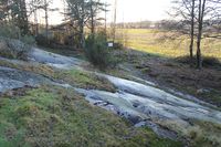 Oversikt over en del av helleristningsfeltet. Foto: Chris Nyborg (2013)