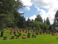 Motiv fra Bekkelaget kirkegård, gjerne kalt Bekkelaget urnelund. Foto: Stig Rune Pedersen