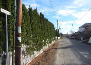 Bekkeveien Oslo 2014.jpg