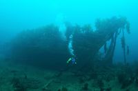 Medlemmer at Harstad Sportsdykkerklubb inspiserer baugen på Belgica. Foto:Siv Pedersen