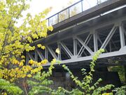 Bentsebrua, 11 oktober 2009.jpg