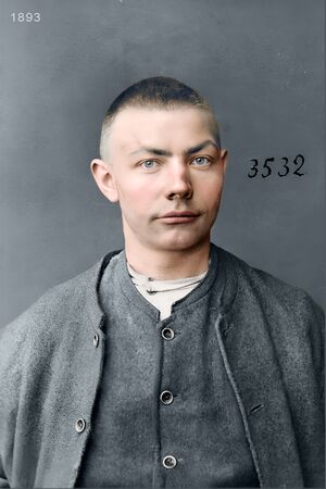 Berg, Anton Emil Jensen - 1893 - 3532.jpg