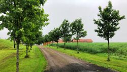 Alleen inn mot Berg gård fra Skedsmo kirkevei. Foto Steinar Bunæs.