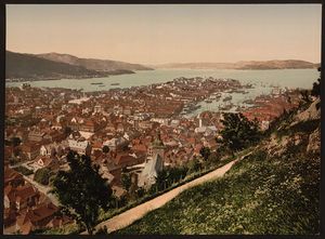 Bergen utsikt fra Fjeldveien 1890 1900.jpg