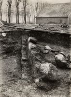 213. Bergenhus, Hordaland - Riksantikvaren-T248 02 0806.jpg