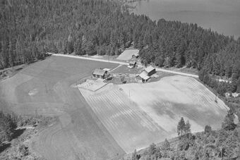 Bergersrud under Lier Kongsvinger 1953.jpg