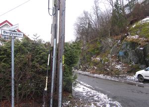 Berglyveien Oslo 2014.jpg