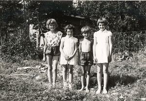 Bergstua IV 1960.jpg