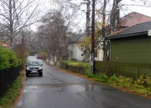 Bernhard Herres vei Oslo 2014.jpg