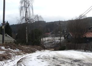 Bernsgutua Østre Toten 2014.jpg