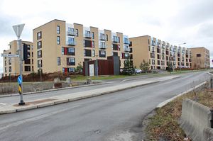 Bernt Balchens vei Bærum 2016.jpg