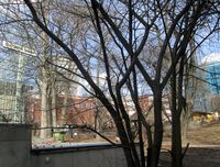 195. Bervens løkke Oslo 2013.jpg