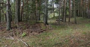 Besseberghaugen (Fagrapport for arkeologiske kulturminner i Øvre Eiker kommune, s139).jpg