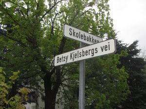 Betzy Kjelsbergs vei.jpg