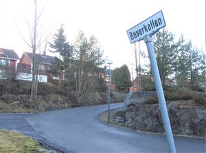 Beverkollen Oslo 2013.jpg