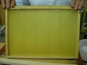 Bieutstyr - vokstavler.JPG