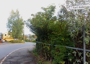 Bikuben (vei) Oslo 2013.jpg