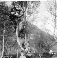 Heile skulen samla i eit tre. Foto: Kjellaug Hatløy (1963).