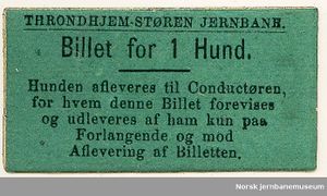Bill hund.jpg