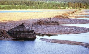 Bingen 10-karsrekka.jpg